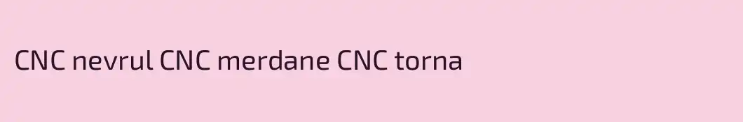 CNC nevrul CNC merdane CNC torna